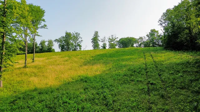 a view of an outdoor space and yard