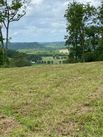 a view of a field with an trees
