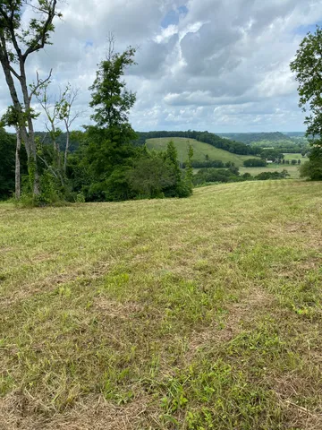 a view of a field with an trees