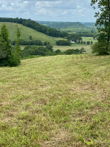 a view of a lake with a houses