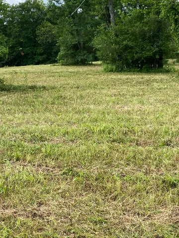 a view of a green yard