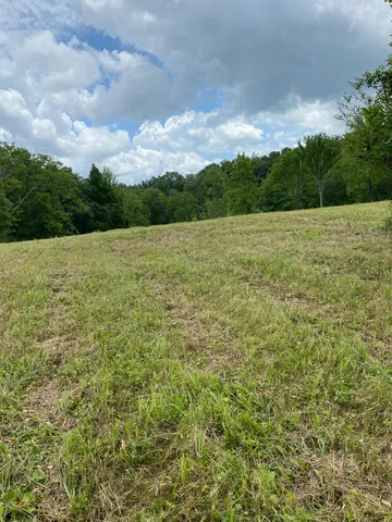 a view of a yard with an outdoor space