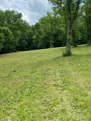 a backyard of a house with lots of green space