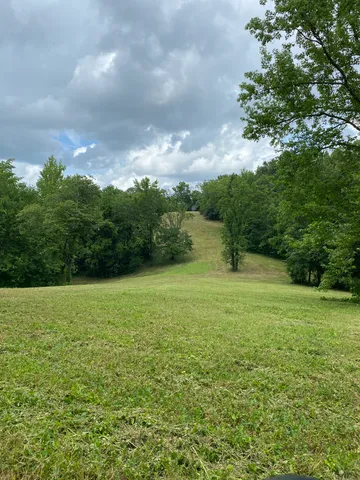 a view of yard with green space