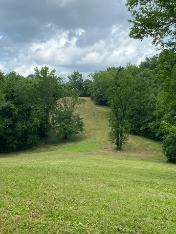 a view of a yard with an outdoor space