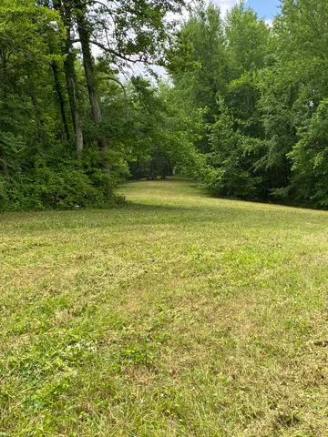 a view of a green yard with a house