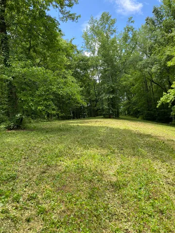 a view of a field with a trees in the background