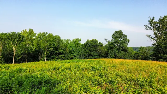 a view of basketball court