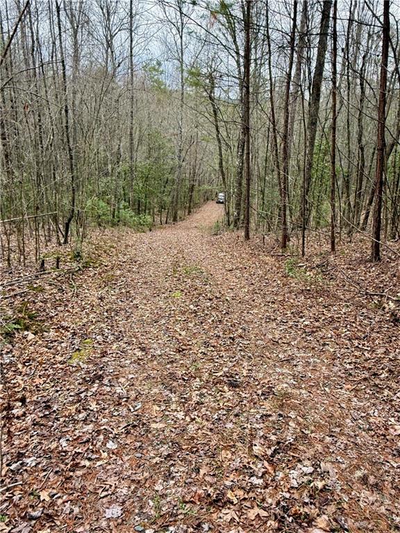 807 East Ridge Lane Ellijay, GA 30536 - Photo 5 of 7