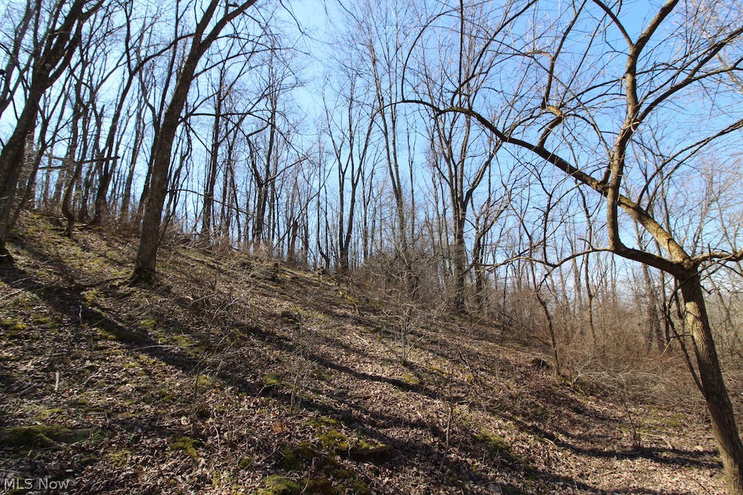145 State Route Woodsfield, OH 43793 - Photo 26 of 31