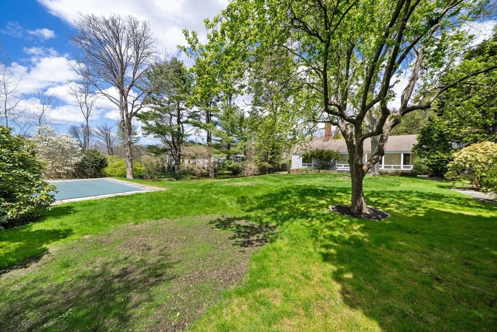 3 Proctor Street Manchester, MA 01944 - Photo 8 of 40 a green field with lots of trees