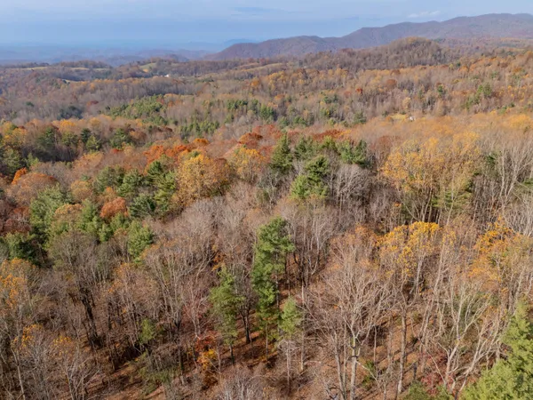 $62,000 | 0 Autumn Drive Northeast, Copper Hill, VA 24079