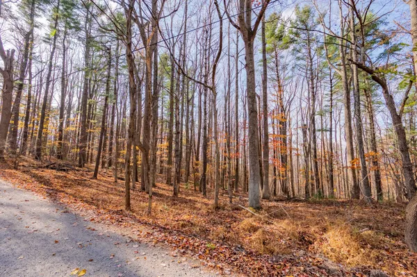 $62,000 | 0 Autumn Drive Northeast, Copper Hill, VA 24079