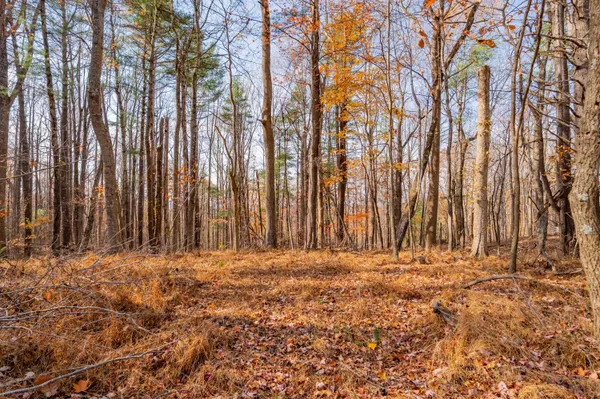 $62,000 | 0 Autumn Drive Northeast, Copper Hill, VA 24079