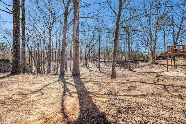 a view of outdoor space with yard