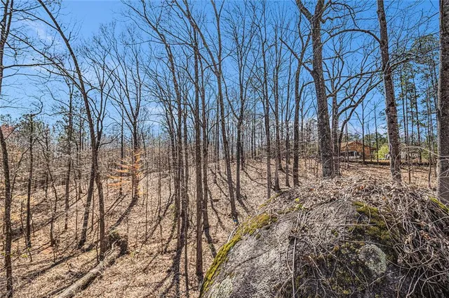 a view of covered with snow