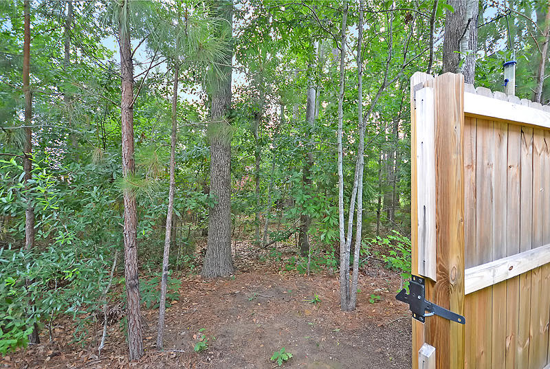8924 Cat Tail Pond Road Summerville, SC 29485 - Photo 30 of 30 DSC_0217-copy