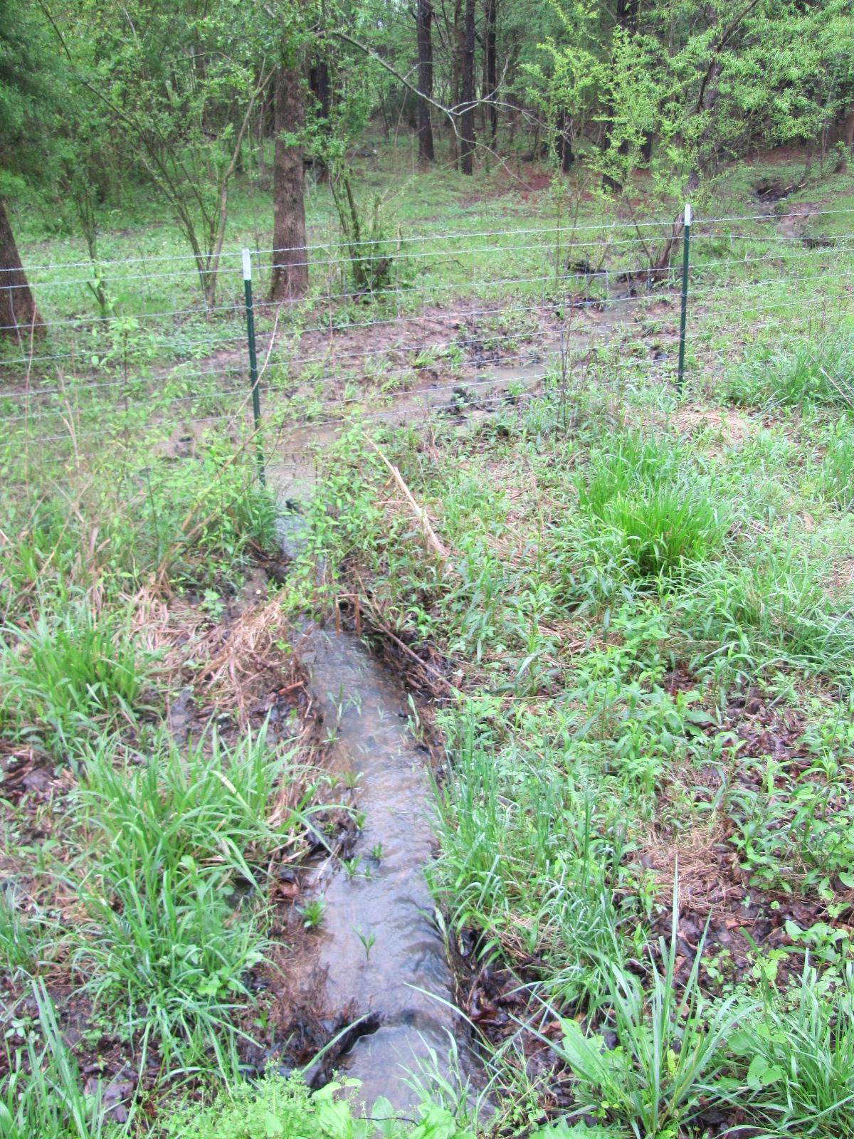 Lot 9 Liberty Church Road Old Fort, TN 37362 - Photo 14 of 15 IMG_5037