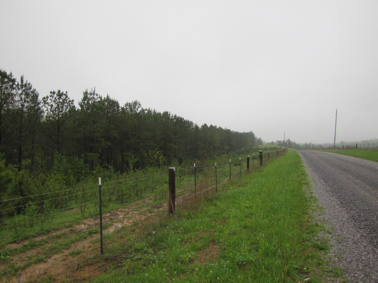 Lot 9 Liberty Church Road Old Fort, TN 37362 - Photo 5 of 15 IMG_5028
