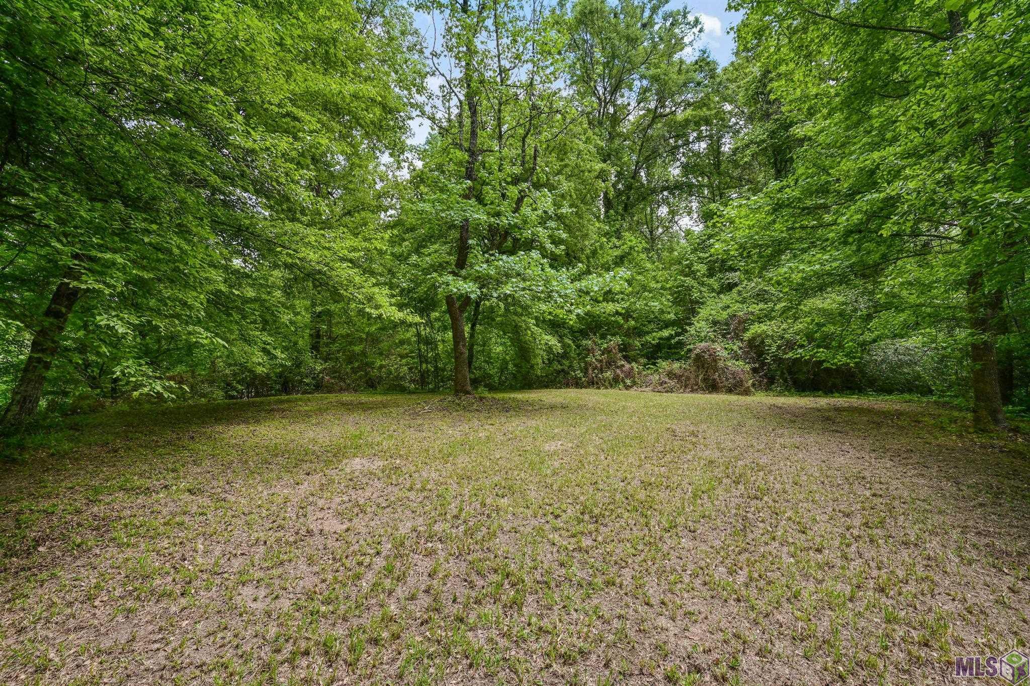 9836 Sligo Road St. Francisville, LA 70775 - Photo 46 of 55