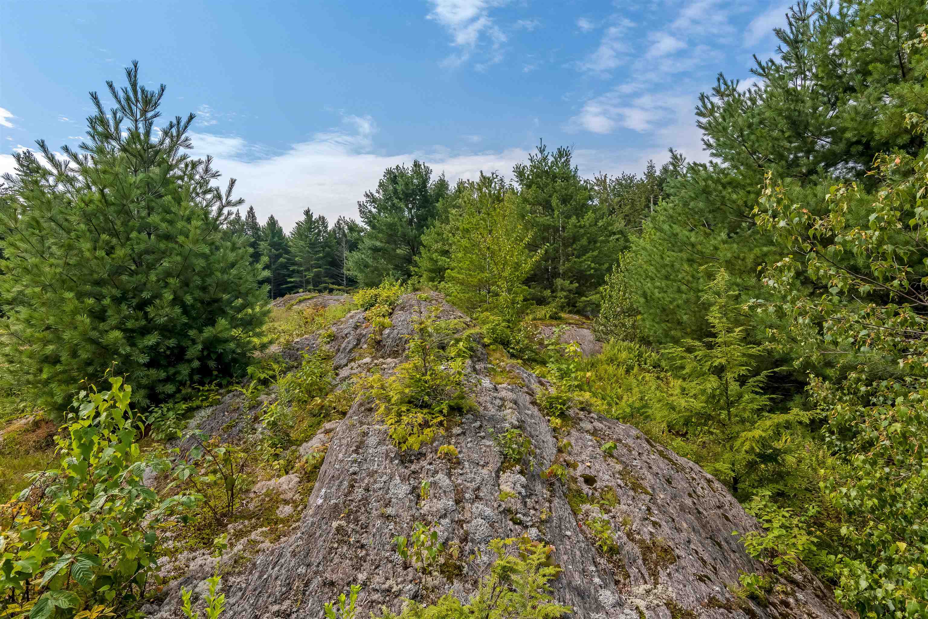 Tbd Birch Hill Road, Unit LOT #2 Stowe, VT 05672 - Photo 14 of 16 Gallery Image 14