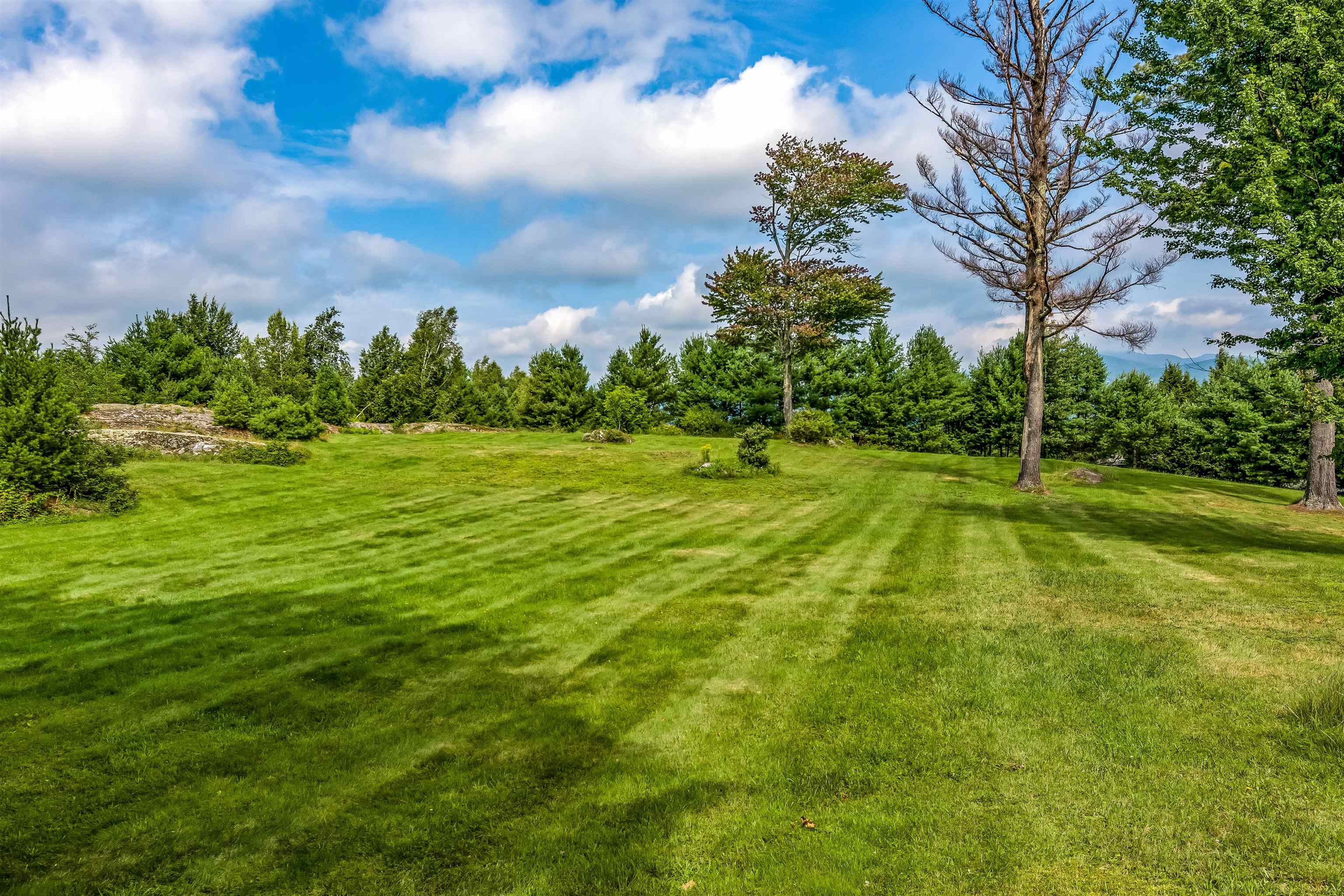 Tbd Birch Hill Road, Unit LOT #2 Stowe, VT 05672 - Photo 3 of 16 Gallery Image 3