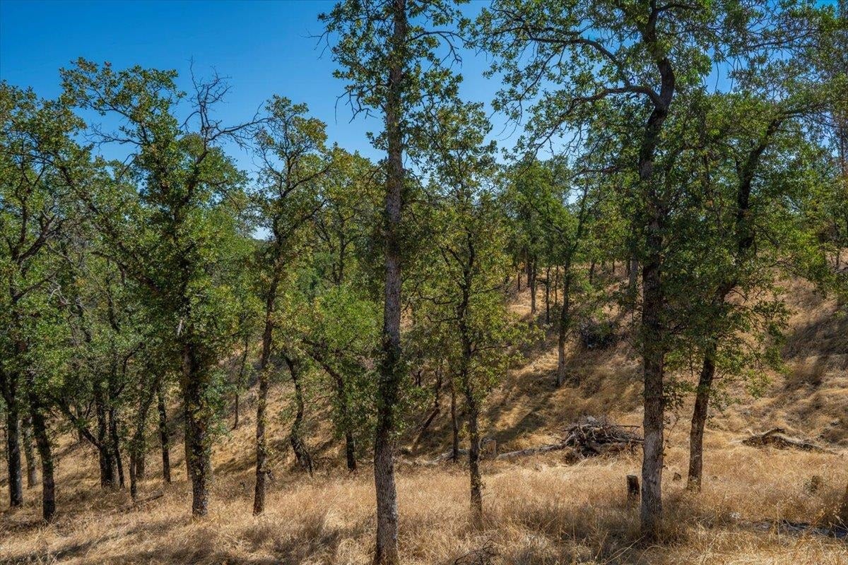 18710 Saddleback Ridge Road Cottonwood, CA 96022 - Photo 43 of 48 Gallery Image 43