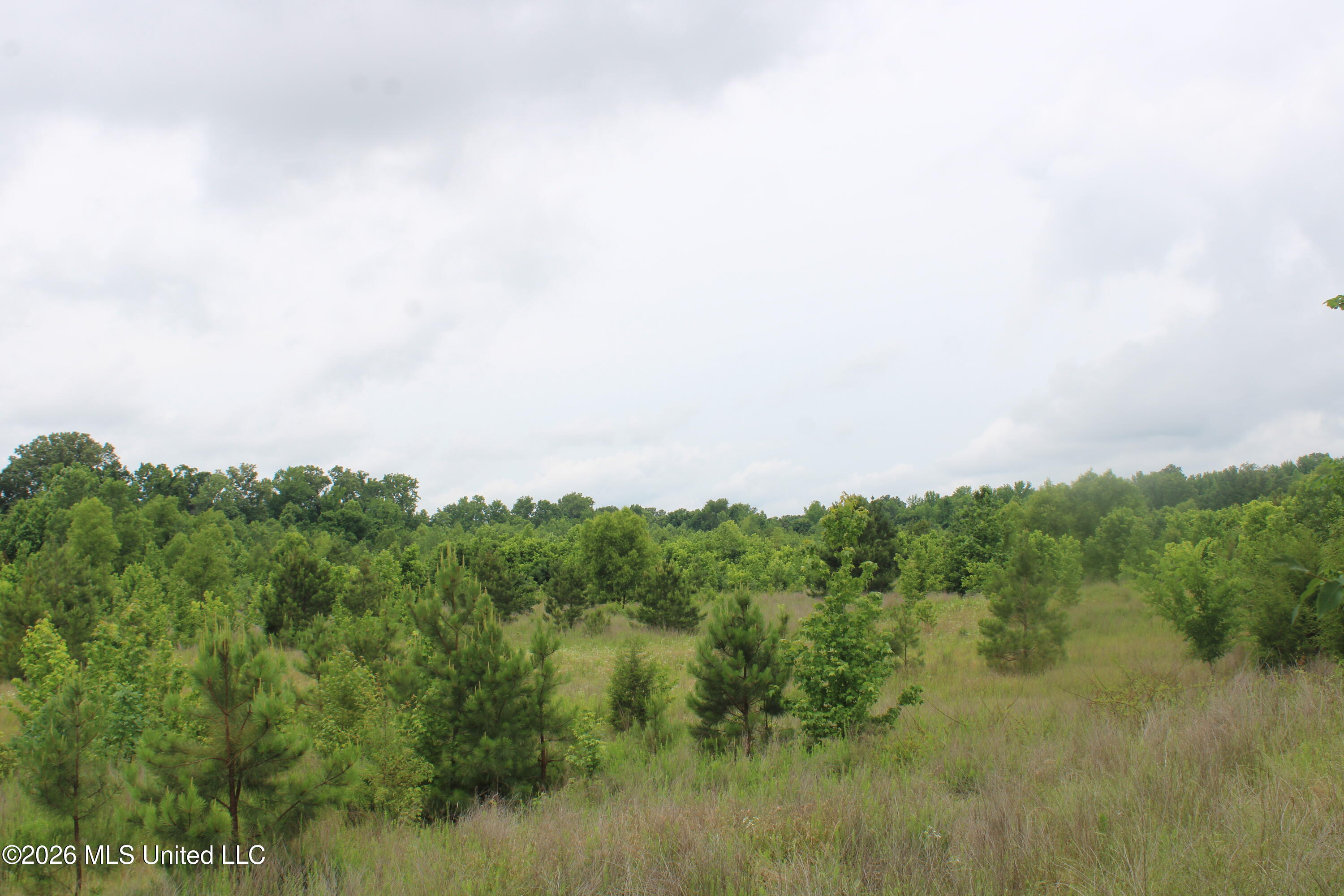 2 Eason Farm Road Byhalia, MS 38611 - Photo 15 of 23 IMG_7839