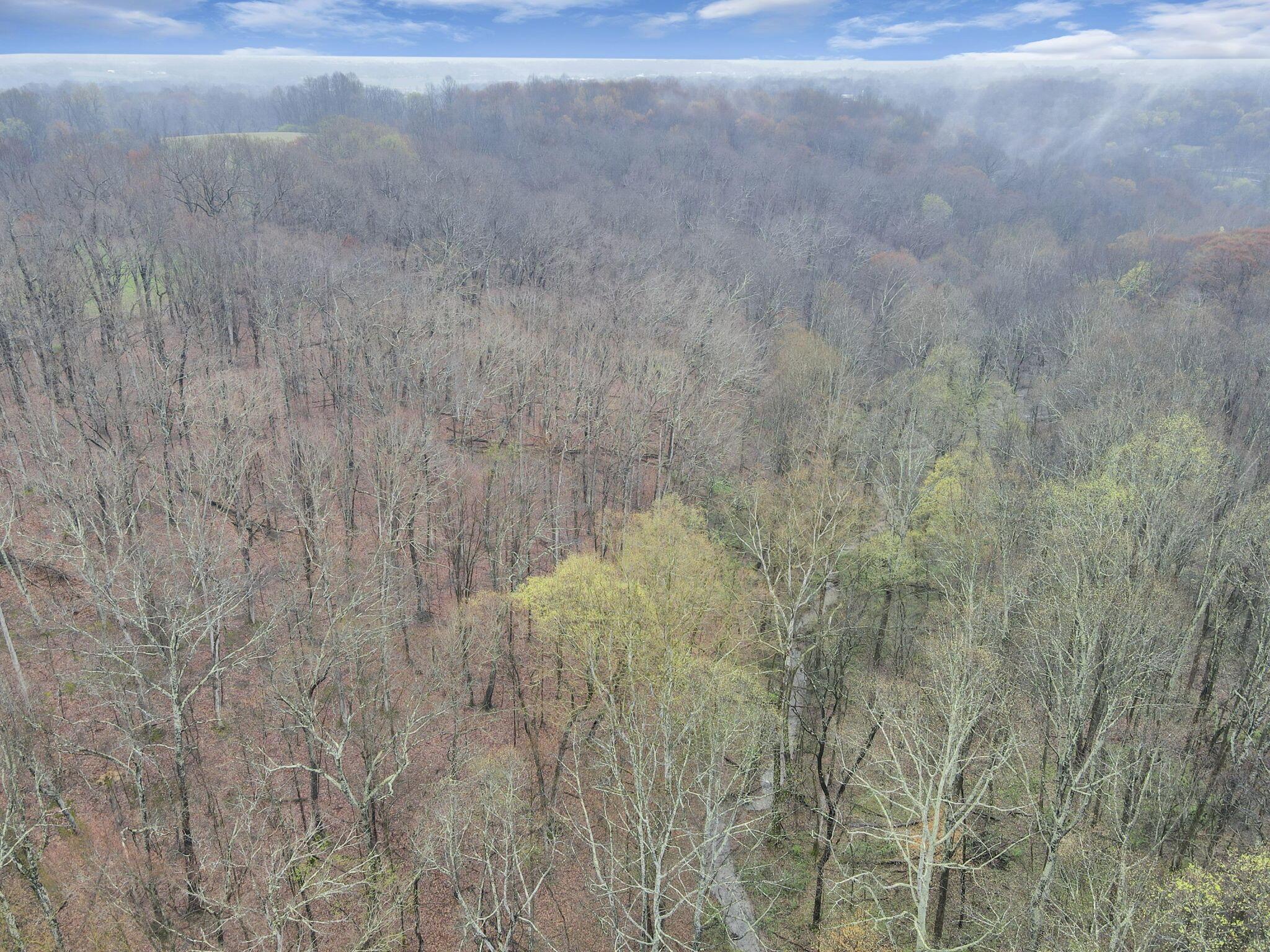 0 Lake Road Southeast Lancaster, OH 43130 - Photo 11 of 23 11-web-or-mls-DJI_0177