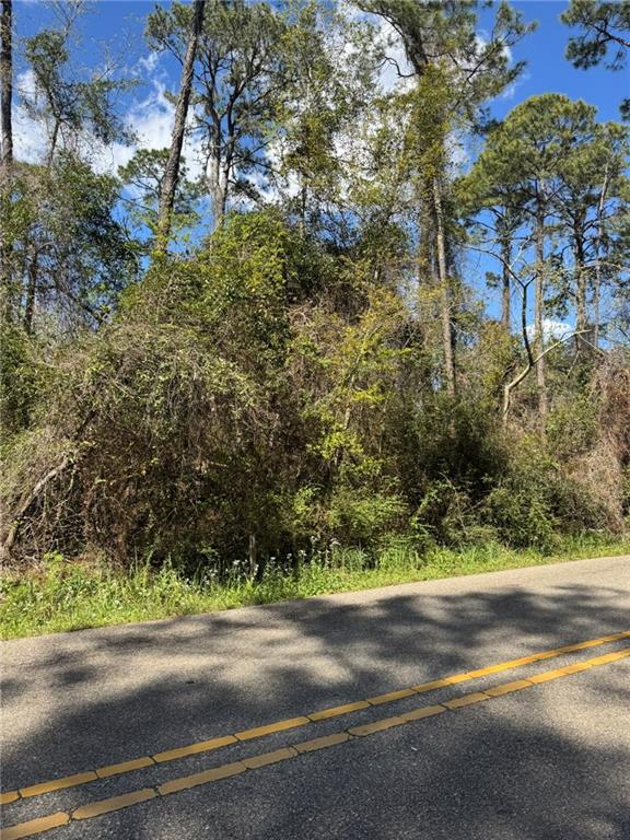 0 Brookter Street Slidell, LA 70461 - Photo 2 of 4