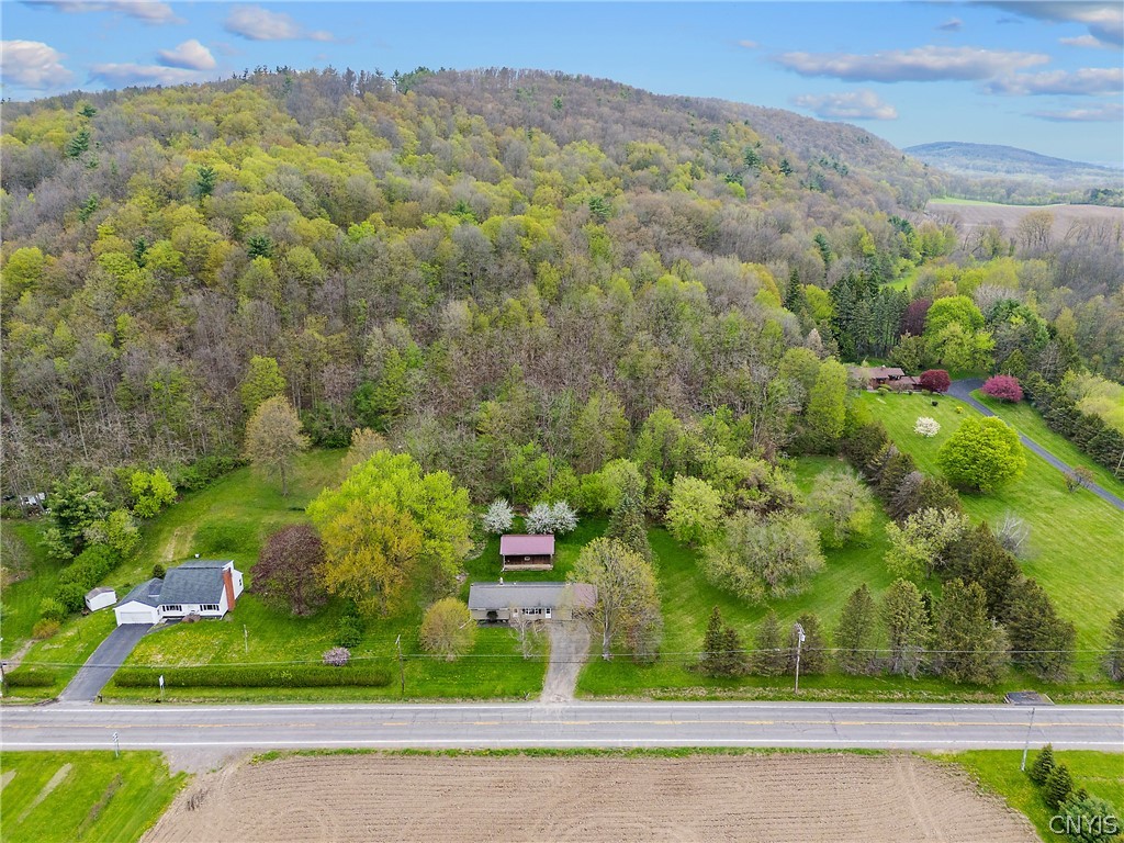 4687 South Onondaga Road Nedrow, NY 13120 - Photo 31 of 43