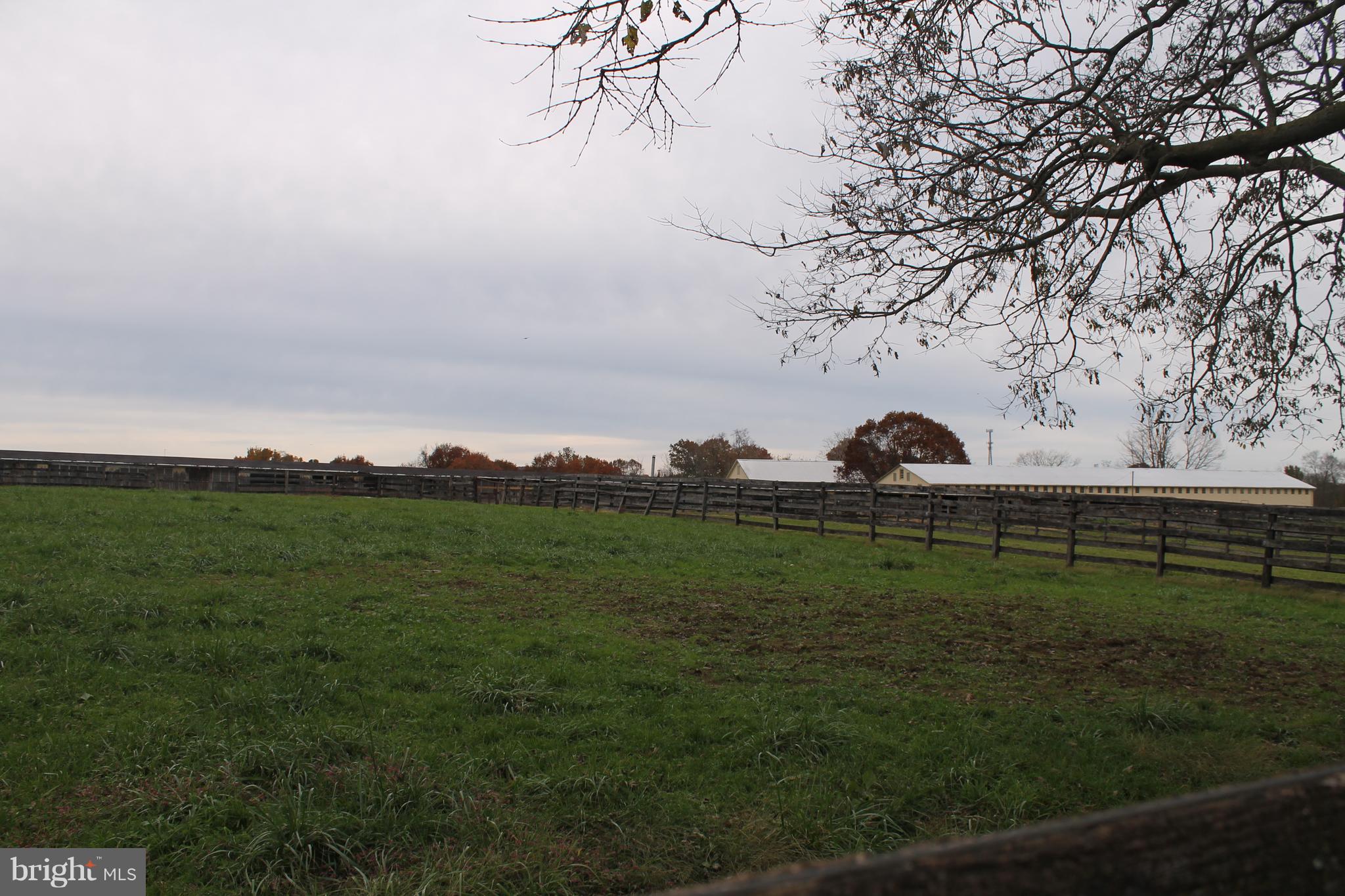 19 Derby Lane Lancaster, PA 17603 - Photo 28 of 40 FARMLAND TO REAR