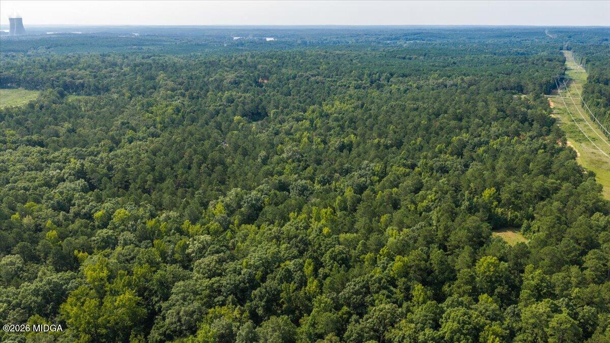 252 Rum Creek Road Juliette, GA 31046 - Photo 63 of 72 42-DJI_20260728225223_0012_D