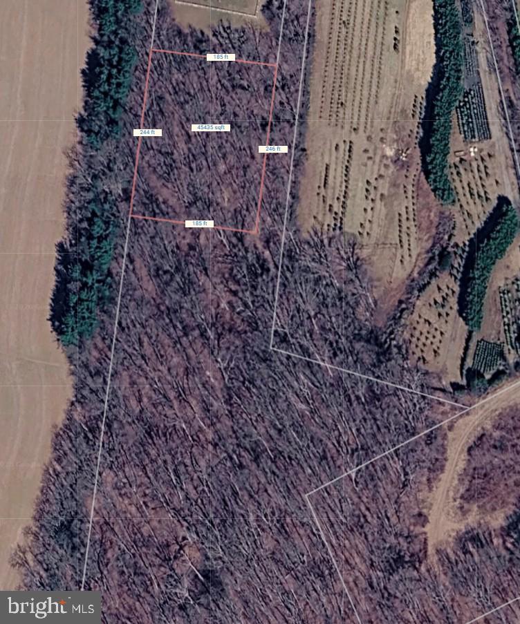 P #350 P Road Damascus, MD 20872 - Photo 2 of 4 a view of a yard