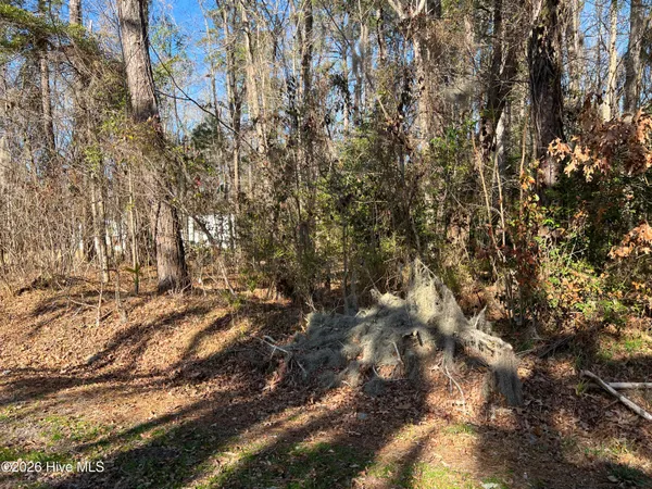 $25,000 | Lot #49-50 Lot#49-50 Cottonwood Drive, Blounts Creek, NC 27814