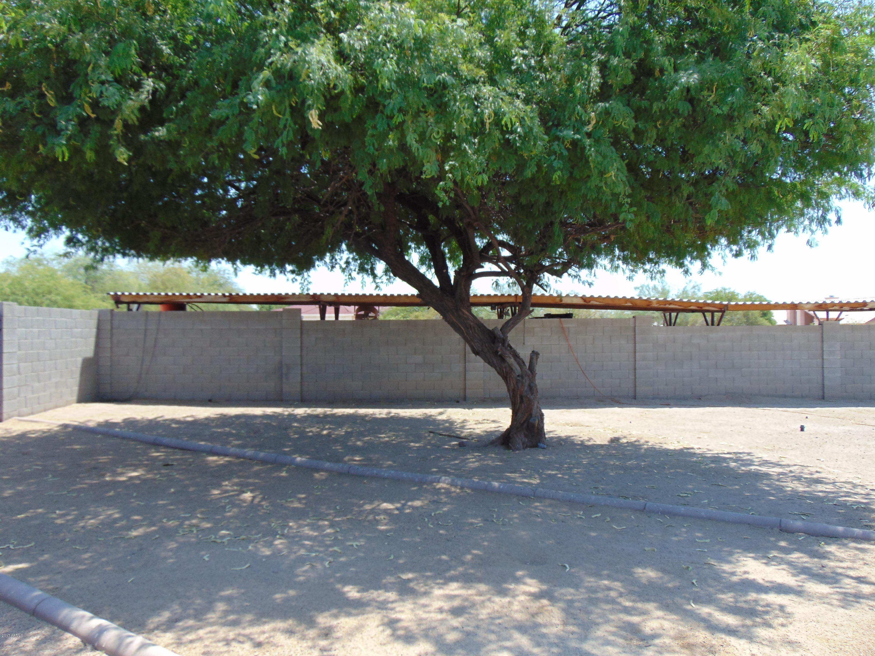 22034 West Ripple Road Buckeye, AZ 85326 - Photo 8 of 13 dsc00500