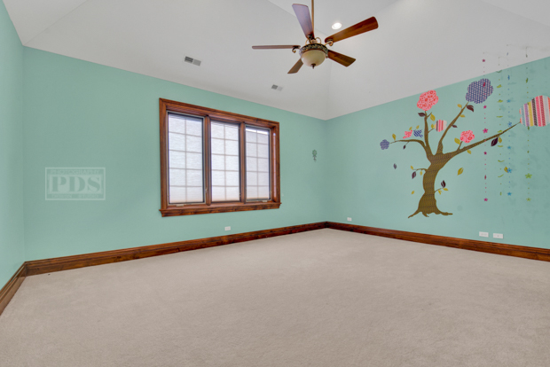 38W340 Henricksen Road St. Charles, IL 60175 - Photo 36 of 54 a view of a room with window and ceiling fan