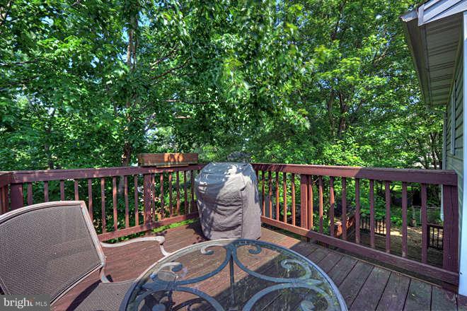 1611 Oldtown Road Edgewater, MD 21037 - Photo 22 of 29 Exterior (Rear)