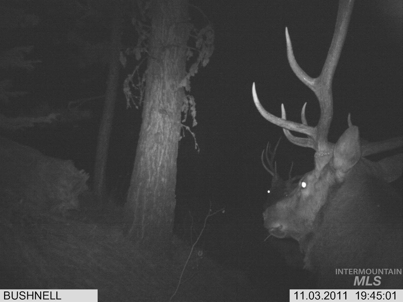 L16-b1 Lantern Way Cascade, ID 83611 - Photo 23 of 32