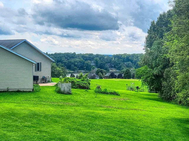 a view of a backyard with plants and a garden