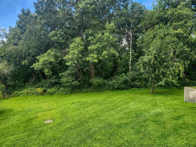 a view of a green yard