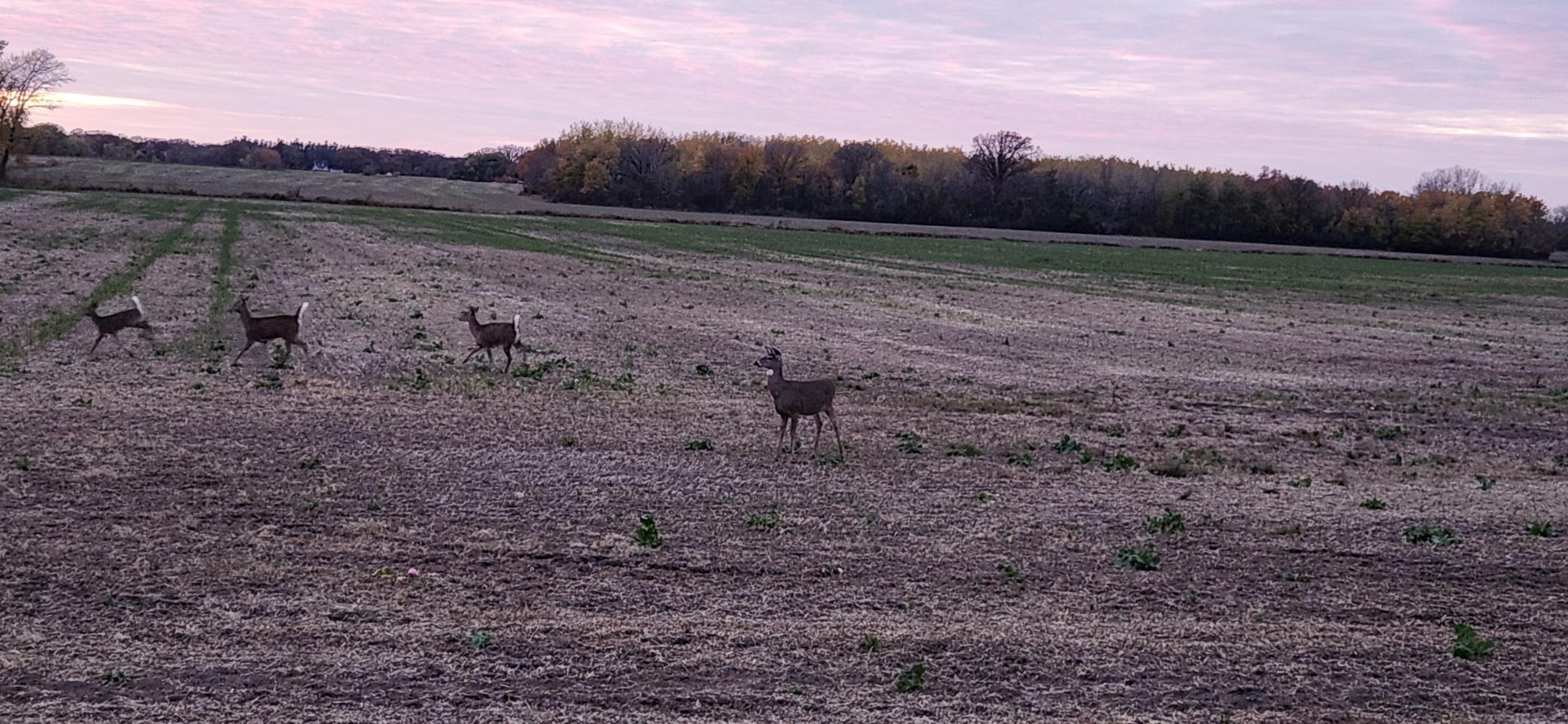 42233 130th Avenue Southeast Fertile, MN 56540 - Photo 32 of 32