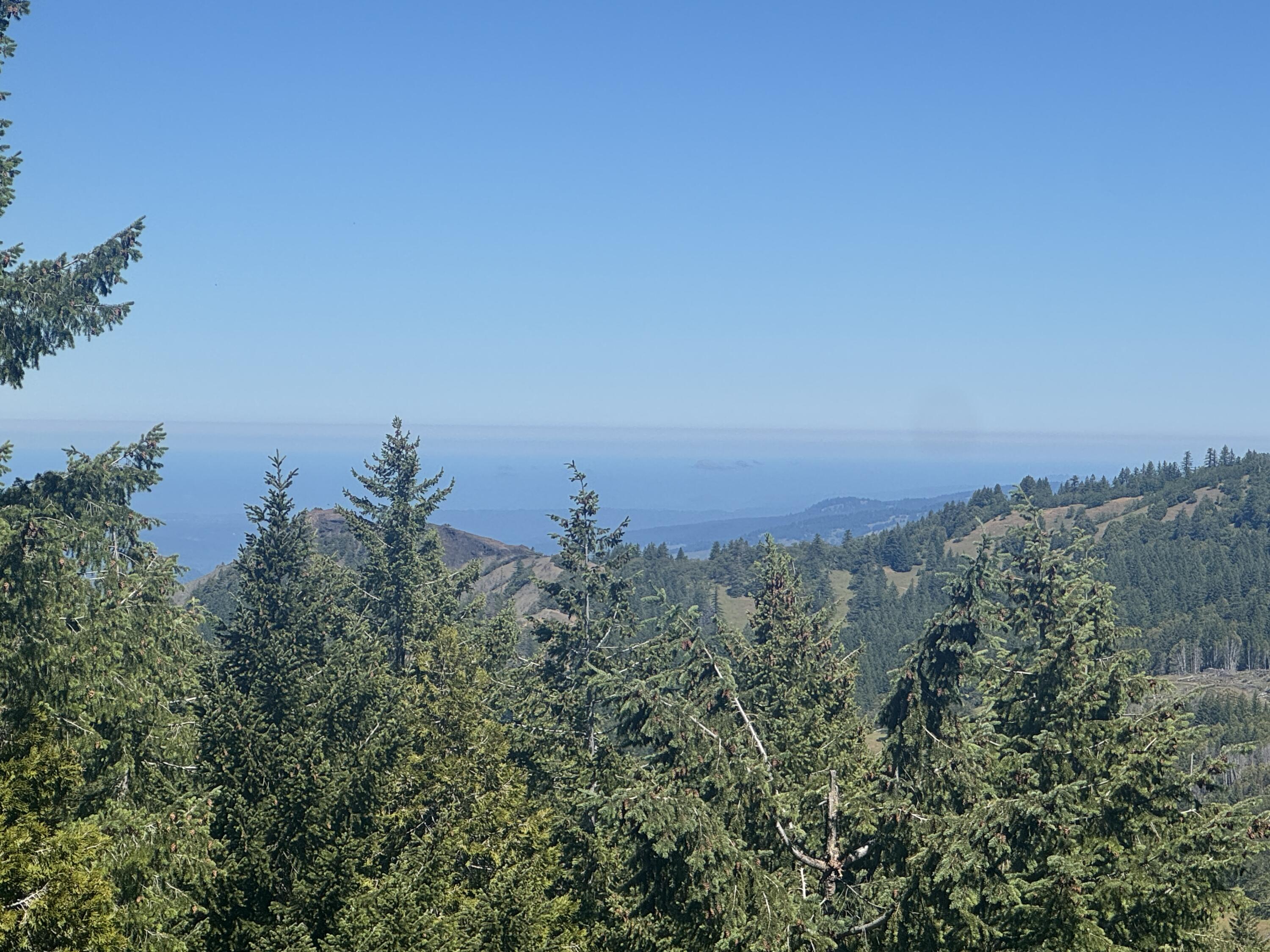 40-acres Snow Camp Road Korbel, CA 95550 - Photo 4 of 26