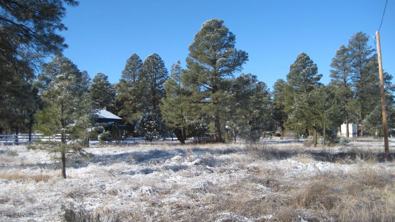 2196 Ruby Lane Overgaard, AZ 85933 - Photo 3 of 14