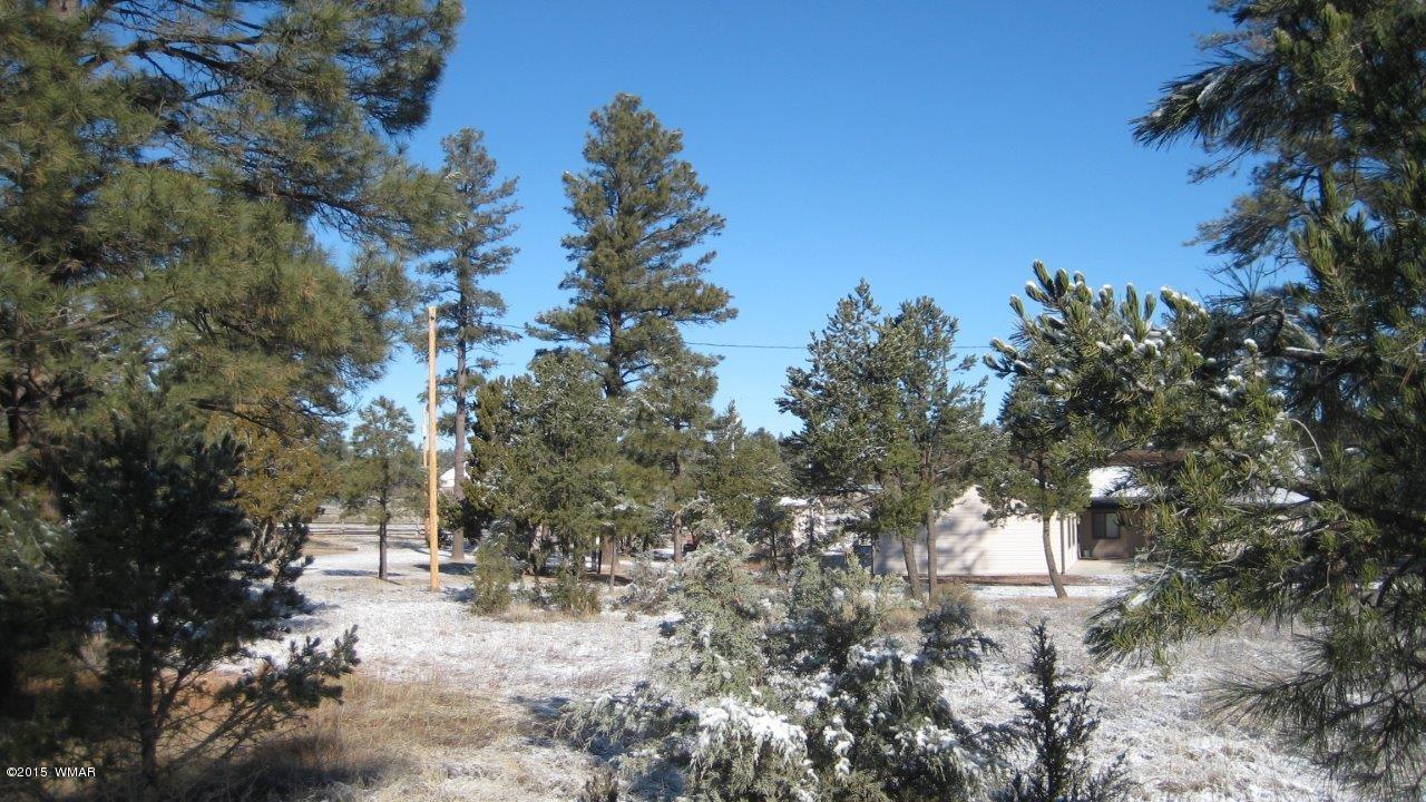 2196 Ruby Lane Overgaard, AZ 85933 - Photo 7 of 14