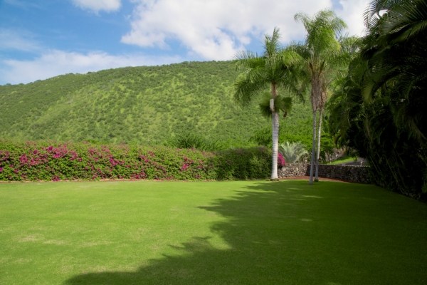 82-5970 Napoopoo Road Captain Cook, HI 96704 - Photo 21 of 24 a view of a field with a tree