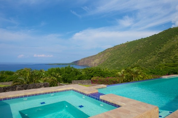 82-5970 Napoopoo Road Captain Cook, HI 96704 - Photo 5 of 24 a view of a big yard with potted plants and large tree