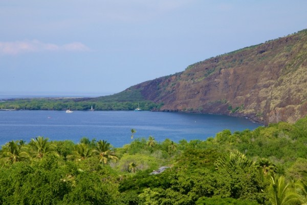 82-5970 Napoopoo Road Captain Cook, HI 96704 - Photo 6 of 24 a view of yard with green space