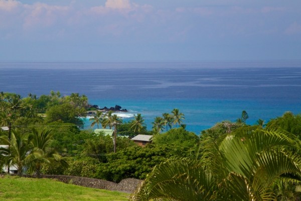 82-5970 Napoopoo Road Captain Cook, HI 96704 - Photo 8 of 24 a view of a garden