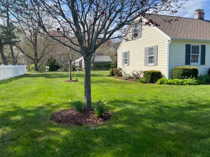 a view of a house with a backyard